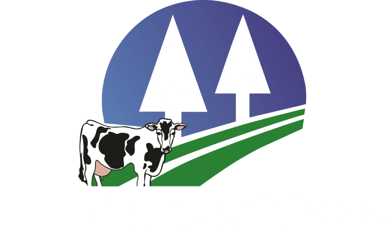 CooperAntunes